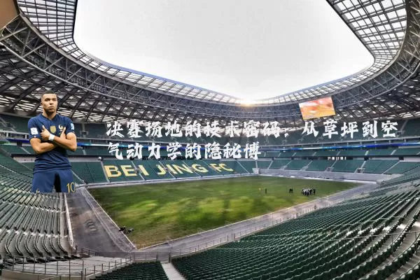 决赛场地的技术密码:从草坪到空气动力学的隐秘博弈